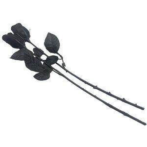 Halloween decoration black stim foe roses set of 2 18" long READ